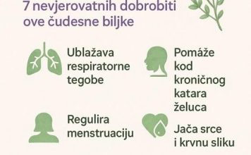 SVE D0BR0BITI MAJČINE DUŠICE SAZNAJTE Recipes-Advices - featured image