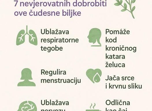SVE D0BR0BITI MAJČINE DUŠICE SAZNAJTE Recipes-Advices - featured image