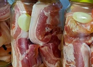 Čuvanje mesa u tegli do godinu dana – Bez frižidera i struje Čuvanje mesa u tegli do godinu dana – Bez frižidera i struje - featured image