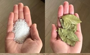 Moja baka uvijek stavlja lovorov list u so. Kada sam saznala zašto je to radila, bila sam iznenađena, jer nikad nisam vidjela ništa slično Moja baka uvijek stavlja lovorov list u so. Kada sam saznala zašto je to radila, bila sam iznenađena, jer nikad nisam vidjela ništa slično - featured image