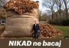 NIKAD ne bacaj jesensko lišće! Vrijedi više od zlata… NIKAD ne bacaj jesensko lišće! Vrijedi više od zlata… - featured image