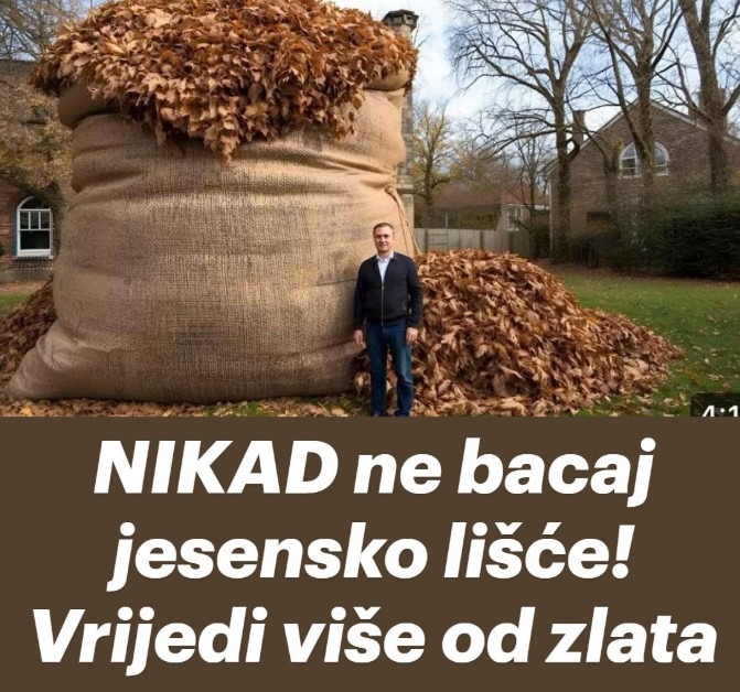 NIKAD ne bacaj jesensko lišće! Vrijedi više od zlata… - featured image NIKAD ne bacaj jesensko lišće! Vrijedi više od zlata… - featured image