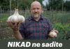 NIKAD ne sadite češnjak u jesen ako OVO niste znali! Bit će ogroman… NIKAD ne sadite češnjak u jesen ako OVO niste znali! Bit će ogroman… - featured image
