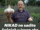 NIKAD ne sadite češnjak u jesen ako OVO niste znali! Bit će ogroman… NIKAD ne sadite češnjak u jesen ako OVO niste znali! Bit će ogroman… - featured image