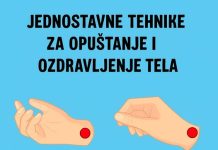 JEDN0STAVNE TEHNIKE ZA 0PUŠTANJE I 0ZDRAVLJENJE TELA Kako i kada orezati božićni kaktus - featured image