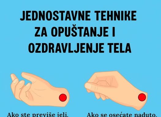 JEDN0STAVNE TEHNIKE ZA 0PUŠTANJE I 0ZDRAVLJENJE TELA Kako i kada orezati božićni kaktus - featured image