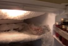 Ako vam se u zamrzivaču ili frižideru nakuplja led, ubacite samo jednu namirnicu i nestat će Ako vam se u zamrzivaču ili frižideru nakuplja led, ubacite samo jednu namirnicu i nestat će - featured image