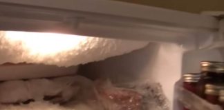 Ako vam se u zamrzivaču ili frižideru nakuplja led, ubacite samo jednu namirnicu i nestat će Ako vam se u zamrzivaču ili frižideru nakuplja led, ubacite samo jednu namirnicu i nestat će - featured image