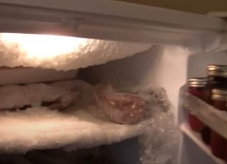 Ako vam se u zamrzivaču ili frižideru nakuplja led, ubacite samo jednu namirnicu i nestat će Ako vam se u zamrzivaču ili frižideru nakuplja led, ubacite samo jednu namirnicu i nestat će - featured image