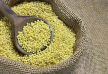 OČISTITE BUBREGE ZA 15 DANA NA PRIRODAN NAČIN: Pristupačan i brz recept! OČISTITE BUBREGE ZA 15 DANA NA PRIRODAN NAČIN: Pristupačan i brz recept! - featured image