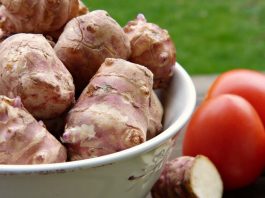 ZOVU JE NAJMOĆNIJOM BILJKOM 21. VEKA Spas za dijabetičare, osobe sa visokim holesterolom, idelana za mršavljenje i dobru probavu – Alo.rs ZOVU JE NAJMOĆNIJOM BILJKOM 21. VEKA Spas za dijabetičare, osobe sa visokim holesterolom, idelana za mršavljenje i dobru probavu - Alo.rs - featured image