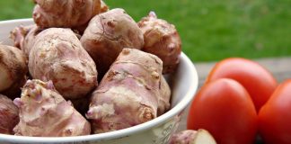 ZOVU JE NAJMOĆNIJOM BILJKOM 21. VEKA Spas za dijabetičare, osobe sa visokim holesterolom, idelana za mršavljenje i dobru probavu – Alo.rs ZOVU JE NAJMOĆNIJOM BILJKOM 21. VEKA Spas za dijabetičare, osobe sa visokim holesterolom, idelana za mršavljenje i dobru probavu - Alo.rs - featured image