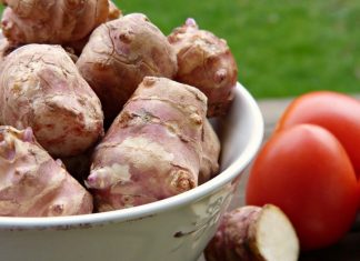 ZOVU JE NAJMOĆNIJOM BILJKOM 21. VEKA Spas za dijabetičare, osobe sa visokim holesterolom, idelana za mršavljenje i dobru probavu – Alo.rs ZOVU JE NAJMOĆNIJOM BILJKOM 21. VEKA Spas za dijabetičare, osobe sa visokim holesterolom, idelana za mršavljenje i dobru probavu - Alo.rs - featured image