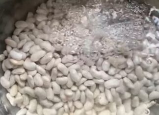 OVO MALO KO ZNA Kad vidite koliko voda od pasulja pomaže više je nećete bacati OVO MALO KO ZNA Kad vidite koliko voda od pasulja pomaže više je nećete bacati - featured image