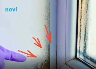 Stručnjak otkrio trik: Evo kako da vaši prozori ove zime ostanu suhi, bez vlage i plijesni