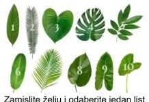 Zamislite želju i odaberite jedan list sa ove slike: EVO DA LI ĆE VAM SE ŽELJA OSTVARITI