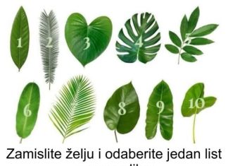 Zamislite želju i odaberite jedan list sa ove slike: EVO DA LI ĆE VAM SE ŽELJA OSTVARITI