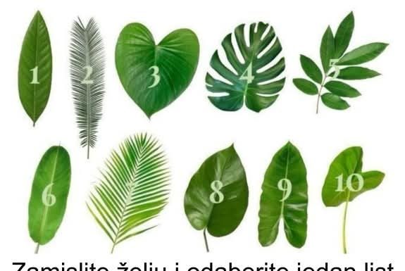 Zamislite želju i odaberite jedan list sa ove slike: EVO DA LI ĆE VAM SE ŽELJA OSTVARITI