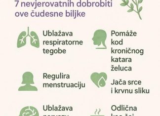 Majčina dušica: Ljekovita snaga prirode Recipes-Advices - featured image