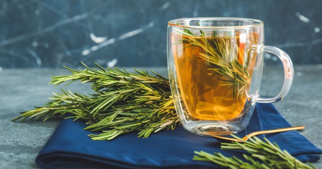 Čaj od ruzmarina je jedan od najzdravijih: Uz koje lekove ne sme da se pije - featured image Čaj od ruzmarina je jedan od najzdravijih: Uz koje lekove ne sme da se pije - featured image
