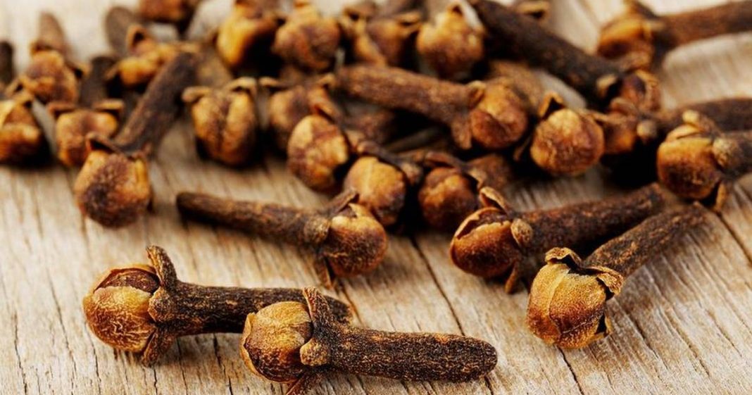 Klinčić može liječiti nesanicu, ublažiti zubobolju i mučninu - featured image Klinčić može liječiti nesanicu, ublažiti zubobolju i mučninu - featured image