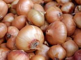 Može izazvati trovanje: Ako ovo primjetite na luku, obavezno ga bacite Može izazvati trovanje: Ako ovo primjetite na luku, obavezno ga bacite - featured image