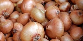 Može izazvati trovanje: Ako ovo primjetite na luku, obavezno ga bacite Može izazvati trovanje: Ako ovo primjetite na luku, obavezno ga bacite - featured image