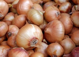 Može izazvati trovanje: Ako ovo primjetite na luku, obavezno ga bacite Može izazvati trovanje: Ako ovo primjetite na luku, obavezno ga bacite - featured image