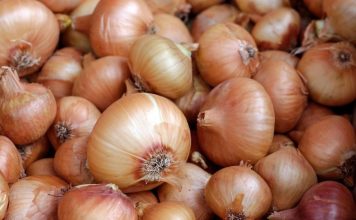 Može izazvati trovanje: Ako ovo primjetite na luku, obavezno ga bacite Može izazvati trovanje: Ako ovo primjetite na luku, obavezno ga bacite - featured image