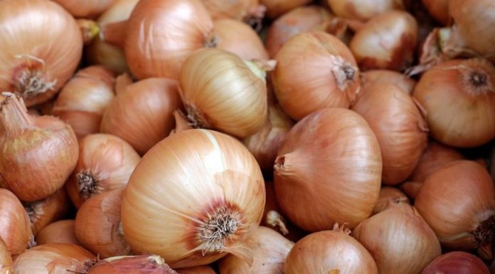 Može izazvati trovanje: Ako ovo primjetite na luku, obavezno ga bacite Može izazvati trovanje: Ako ovo primjetite na luku, obavezno ga bacite - featured image
