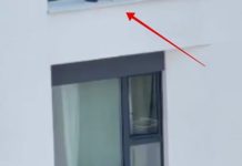 Fotka iz Beograda obišla je cijelu regiju, zaledit će vam se krv u žilama kad vidite što žena radi Fotka iz Beograda obišla je cijelu regiju, zaledit će vam se krv u žilama kad vidite što žena radi - featured image