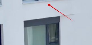 Fotka iz Beograda obišla je cijelu regiju, zaledit će vam se krv u žilama kad vidite što žena radi Fotka iz Beograda obišla je cijelu regiju, zaledit će vam se krv u žilama kad vidite što žena radi - featured image