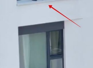 Fotka iz Beograda obišla je cijelu regiju, zaledit će vam se krv u žilama kad vidite što žena radi Fotka iz Beograda obišla je cijelu regiju, zaledit će vam se krv u žilama kad vidite što žena radi - featured image