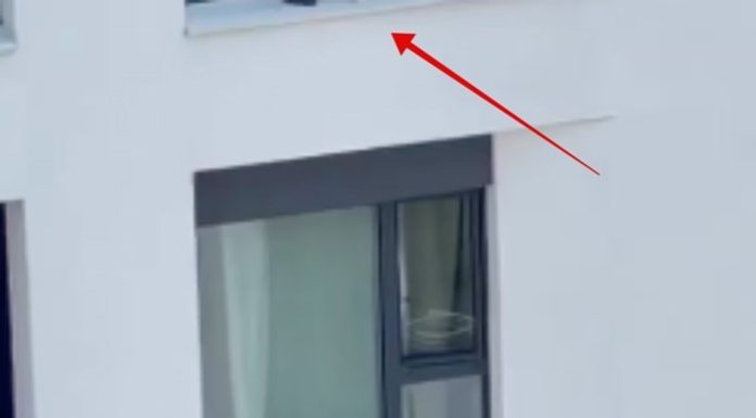 Fotka iz Beograda obišla je cijelu regiju, zaledit će vam se krv u žilama kad vidite što žena radi Fotka iz Beograda obišla je cijelu regiju, zaledit će vam se krv u žilama kad vidite što žena radi - featured image