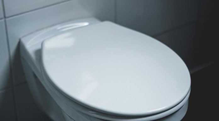 Zašto uvijek trebate držati poklopac WC školjke zatvoren: Iznenađujući razlozi stručnjaka Zašto uvijek trebate držati poklopac WC školjke zatvoren: Iznenađujući razlozi stručnjaka - featured image