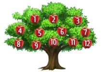 Drvo želja: Odaberite jabuku i otkrijte šta vaša želja govori o vama Drvo želja: Odaberite jabuku i otkrijte šta vaša želja govori o vama - featured image