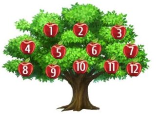 Drvo želja: Odaberite jabuku i otkrijte šta vaša želja govori o vama Drvo želja: Odaberite jabuku i otkrijte šta vaša želja govori o vama - featured image