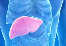 Hepatolog tvrdi da jedno voće obnavlja jetru za 7 dana, a sve zbog ovog enzima Hepatolog tvrdi da jedno voće obnavlja jetru za 7 dana, a sve zbog ovog enzima - featured image