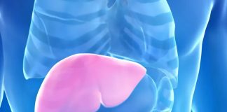 Hepatolog tvrdi da jedno voće obnavlja jetru za 7 dana, a sve zbog ovog enzima Hepatolog tvrdi da jedno voće obnavlja jetru za 7 dana, a sve zbog ovog enzima - featured image