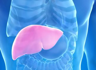 Hepatolog tvrdi da jedno voće obnavlja jetru za 7 dana, a sve zbog ovog enzima Hepatolog tvrdi da jedno voće obnavlja jetru za 7 dana, a sve zbog ovog enzima - featured image