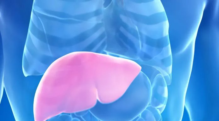 Hepatolog tvrdi da jedno voće obnavlja jetru za 7 dana, a sve zbog ovog enzima Hepatolog tvrdi da jedno voće obnavlja jetru za 7 dana, a sve zbog ovog enzima - featured image