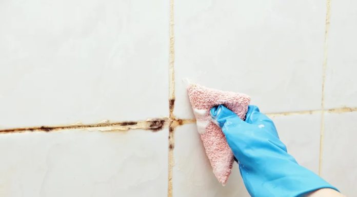 Pomiješajte i nanesite na fuge: Vratit ćete im snježnobijelu boju, a plijesan će nestati Pomiješajte i nanesite na fuge: Vratit ćete im snježnobijelu boju, a plijesan će nestati - featured image