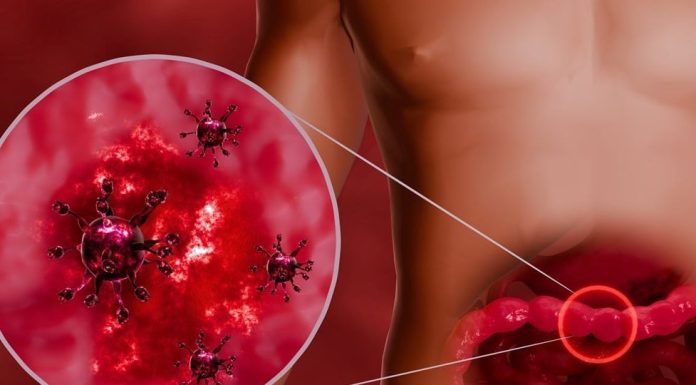 Opasni virus počeo da se širi prije praznika: Ovo su simptomi! Opasni virus počeo da se širi prije praznika: Ovo su simptomi! - featured image