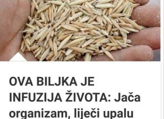 OVA BILJKA JE INFUZIJA ŽIVOTA: Jača Organizam, Liječi Upalu Pluća, Podstiče Čišćenje Tijela Od Toksina I Sluzi! OVA BILJKA JE INFUZIJA ŽIVOTA: Jača Organizam, Liječi Upalu Pluća, Podstiče Čišćenje Tijela Od Toksina I Sluzi! - featured image