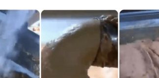 0V0 JE NAJ0PASNlJA NAMlRNlCA, A STALNO JE JEDEMO: Niko vam neće reći da može biti 0TR0VNA! 0V0 JE NAJ0PASNlJA NAMlRNlCA, A STALNO JE JEDEMO: Niko vam neće reći da može biti 0TR0VNA! - featured image