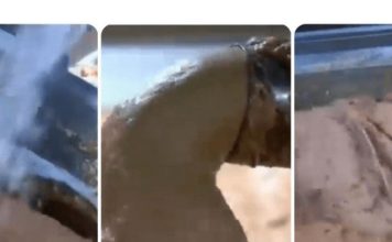 0V0 JE NAJ0PASNlJA NAMlRNlCA, A STALNO JE JEDEMO: Niko vam neće reći da može biti 0TR0VNA! 0V0 JE NAJ0PASNlJA NAMlRNlCA, A STALNO JE JEDEMO: Niko vam neće reći da može biti 0TR0VNA! - featured image