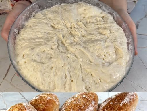 NE PECITE HLJEB DOK NE VIDITE OVAJ RECEPT! 🥖 Bez mijesenja, a ispada SAVRŠENO — hrskava korica, mekana sredina i predivan miris domaćeg hljeba! 😍 NE PECITE HLJEB DOK NE VIDITE OVAJ RECEPT! 🥖 Bez mijesenja, a ispada SAVRŠENO — hrskava korica, mekana sredina i predivan miris domaćeg hljeba! 😍 - featured image