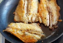 DOKTORICA UPOZORAVA: Ovu VRSTU RIBE nikako ne smijete da JEDETE, sadrži u SEBI OPASNU STVAR, a jako često je jedemo DOKTORICA UPOZORAVA: Ovu VRSTU RIBE nikako ne smijete da JEDETE, sadrži u SEBI OPASNU STVAR, a jako često je jedemo - featured image