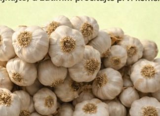 JEDN0STAVNI načini KAK0 uključiti bijeli luk u SVAK0DNEVNU rutinu Recipes-Advices - featured image
