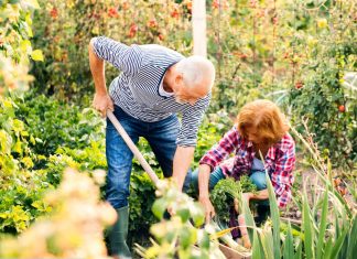 Ovu biljku nikada ne sadite, a ako je dobijete na poklon odmah je bacite: Donosi nesreću i bijedu Ovu biljku nikada ne sadite, a ako je dobijete na poklon odmah je bacite: Donosi nesreću i bijedu - featured image